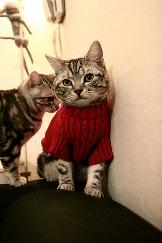 爱游戏官方网站-“六人制袋棍球赛场：东部新区展现极限速度与灵活性”