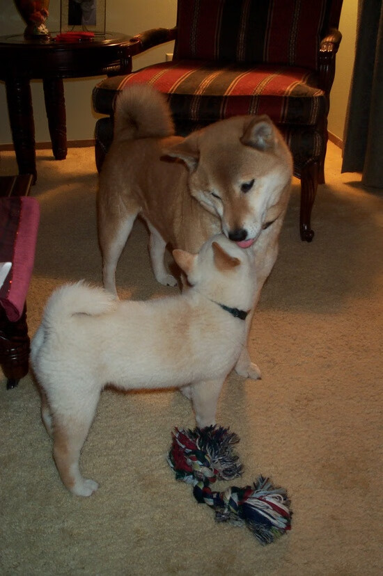 爱游戏电竞官网-体测新规落实助推校园体育发展，学校开展体质测试的意义