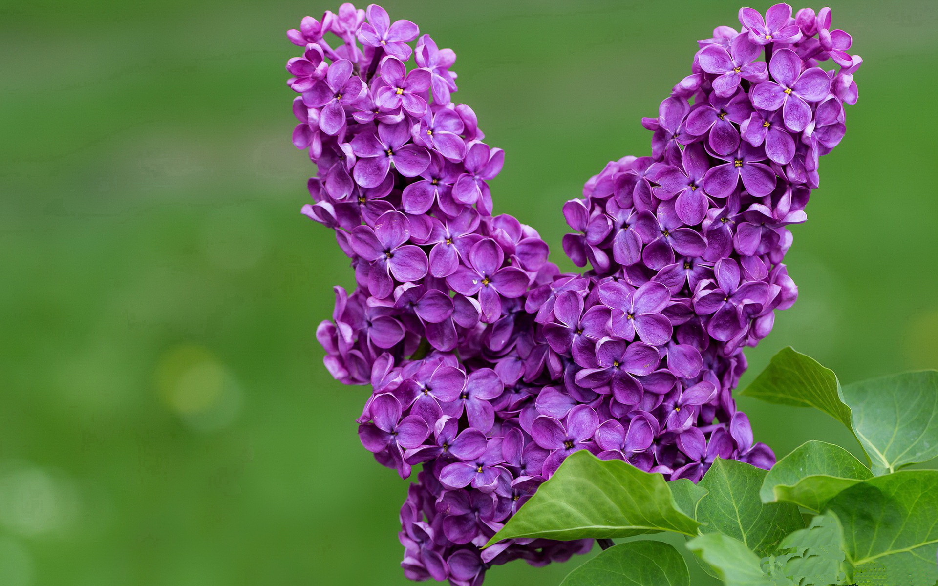 场馆冷却系统环保节能双达标