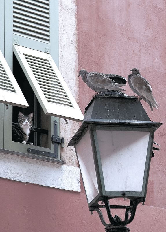 爱游戏综合娱乐-战术换位灵活度高的球队谁最出色，战术换弹是什么意思