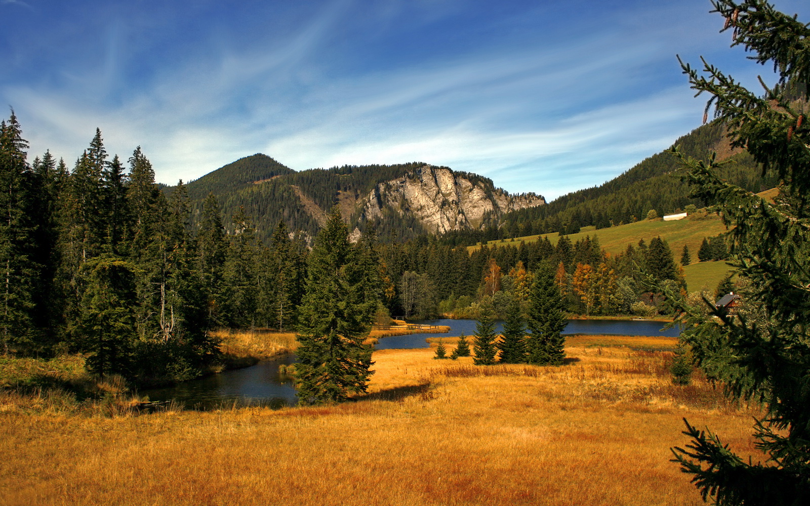 爱游戏娱乐-曼城中场调度精准打乱对手防守节奏，曼城主力中场