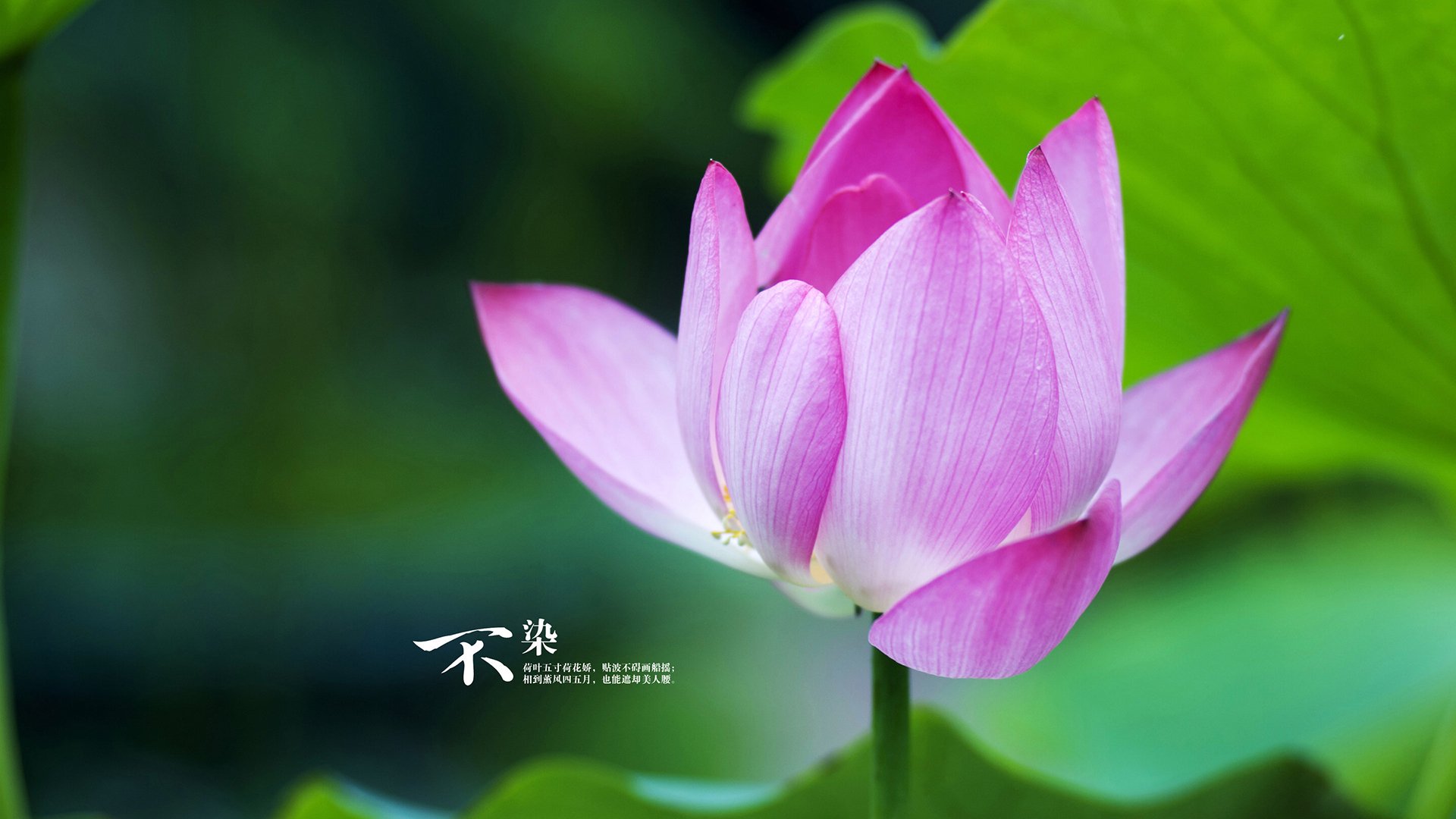 爱游戏app下载-短距离女子接力继续刷新纪录，女子接力世界纪录