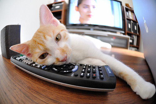 爱游戏体育平台-“萨尔·巴赫：南非羚羊队的下一个传奇”