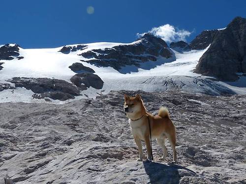 世界杯逆袭奇迹：英雄出场，创造奇迹！，世界杯的奇迹