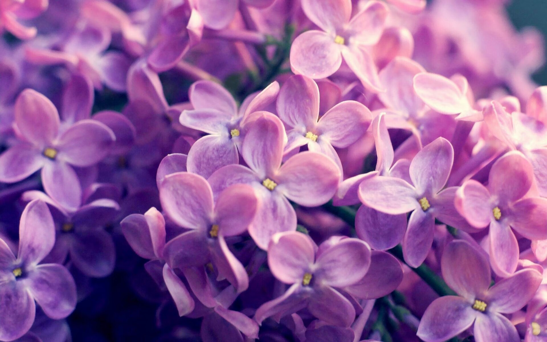 AYX体育官网-中国女排副攻提升拦网能力明显，中国女排副攻手排名