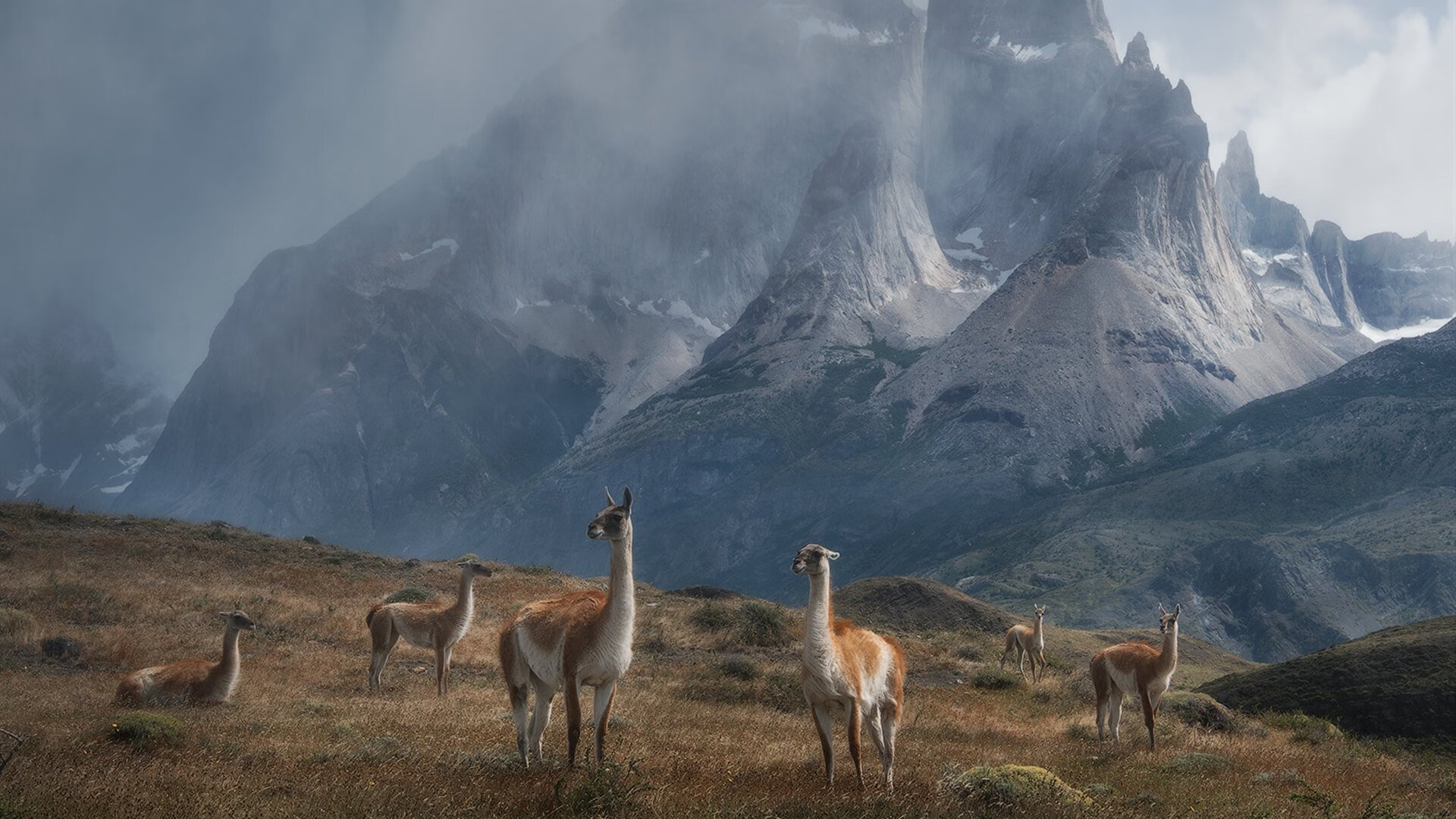 中国女排副攻提升拦网能力明显,中国女排副攻手排名