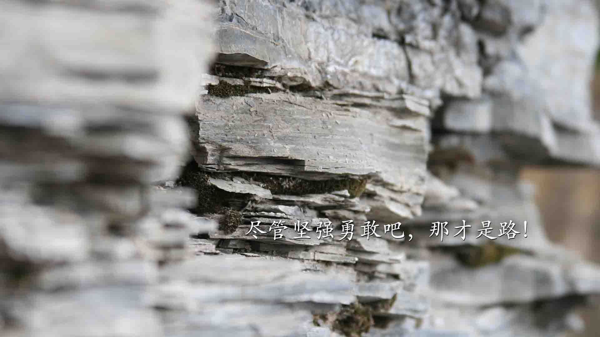 中国足球职业俱乐部青训体系创新实践,中国足球青训理念