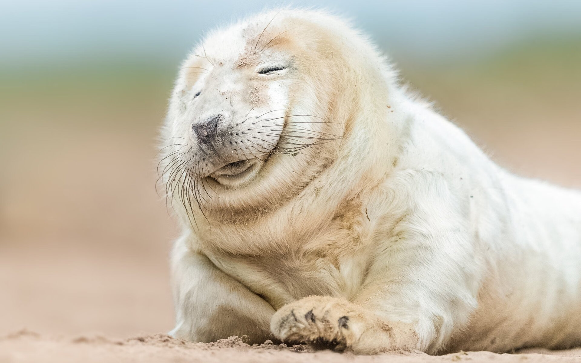 爱游戏平台-中国足球青少年足球赛事规则适应国际标准，中国青少年足球校园足球