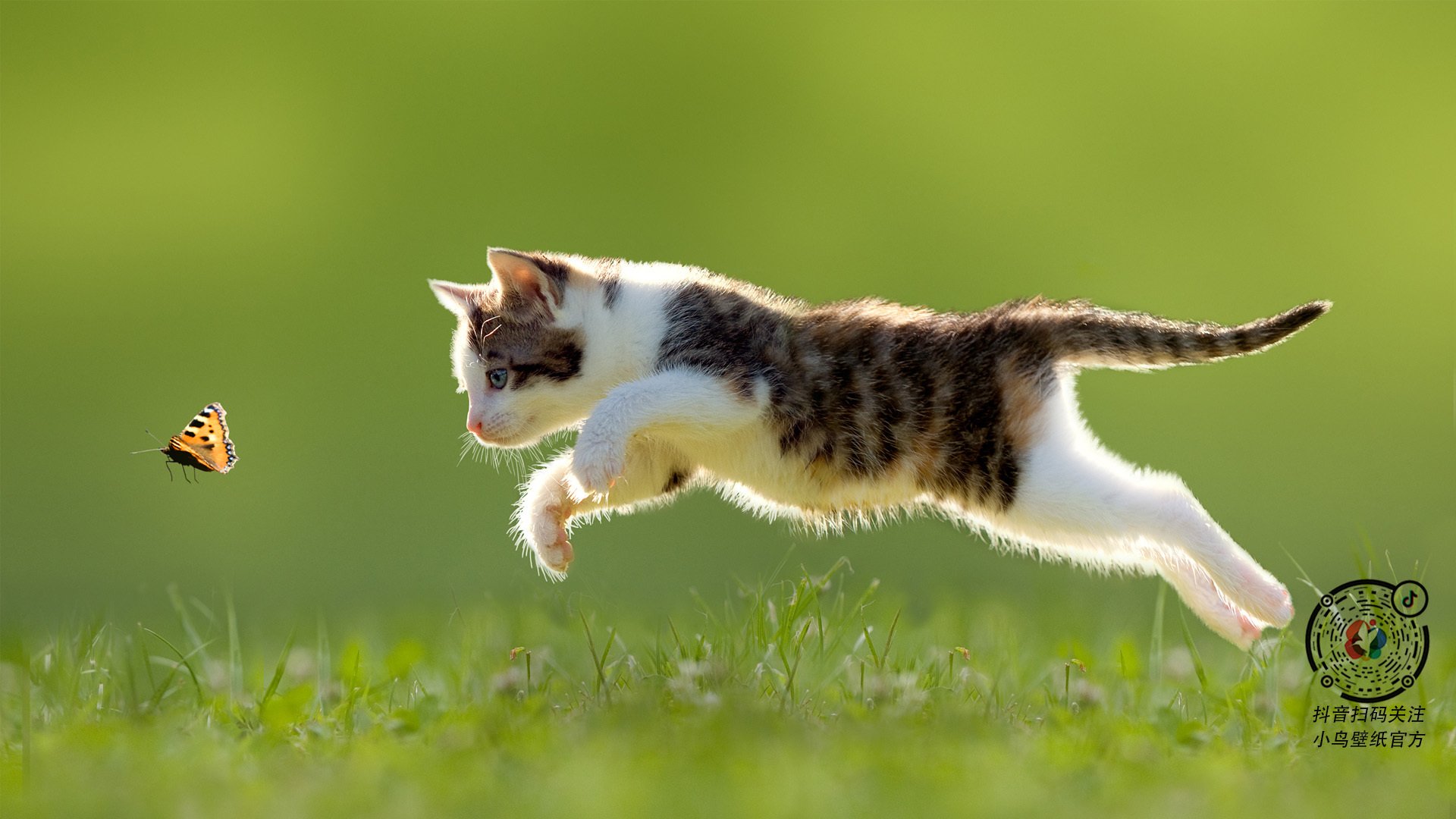 爱游戏体育官方网站-中学篮球课程加入比赛录像分析提升战术理解与实战意识，中学篮球课教学视频