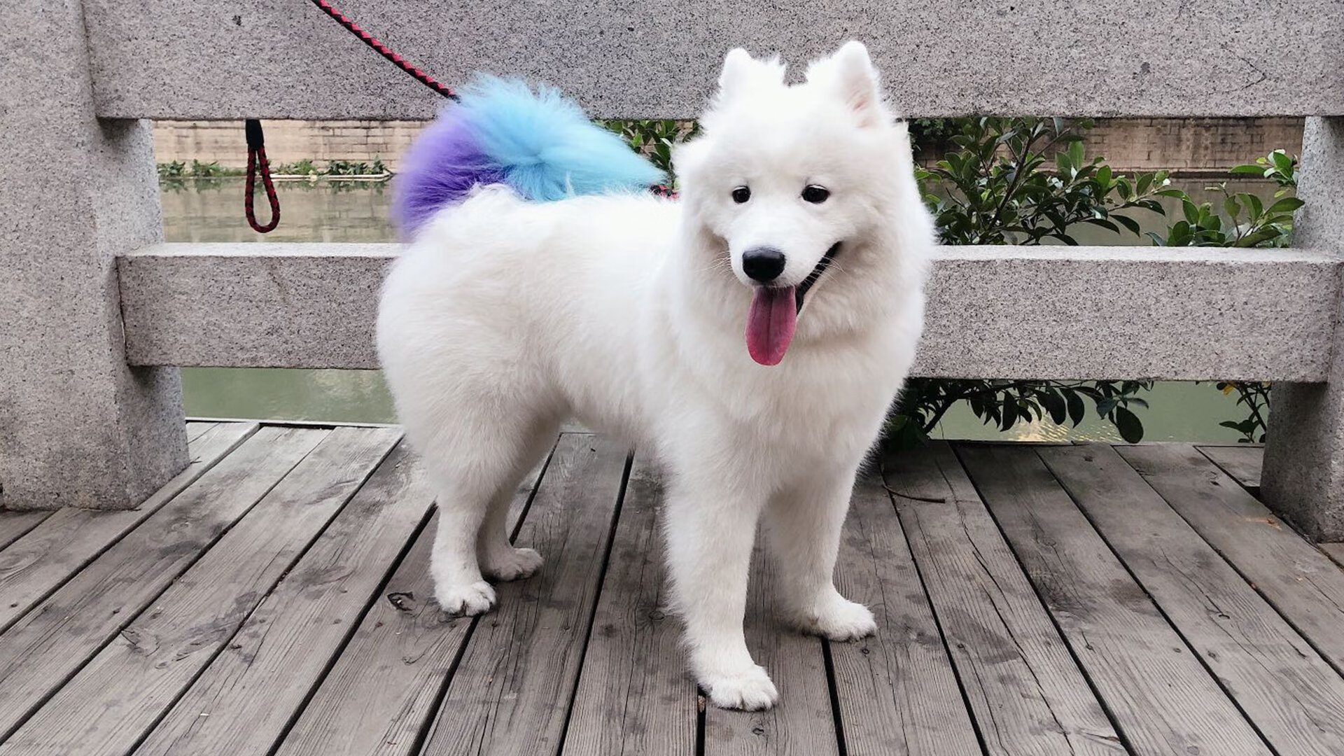 李娜亮相国际赛事支持中国小将登场,李娜战绩